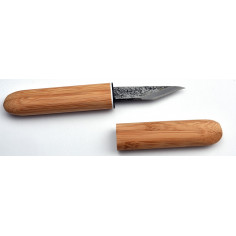 TS016 - Kiridashi Kogatana