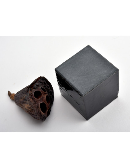 Pierre nagura Tsushima noire