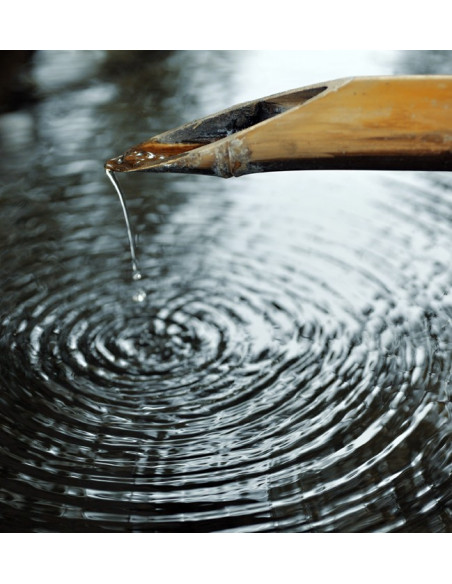 Pierre céramique Suehiro - 8000