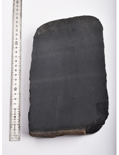 Novaculite noire des Monts Ouachita (Arkansas- USA)