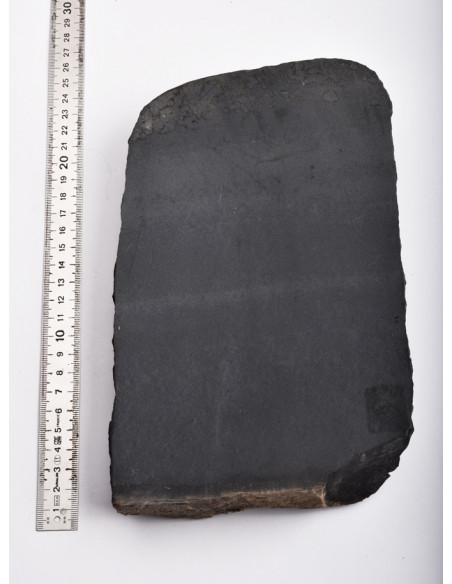 Novaculite noire des Monts Ouachita (Arkansas- USA)