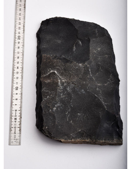 Novaculite noire des Monts Ouachita (Arkansas- USA)