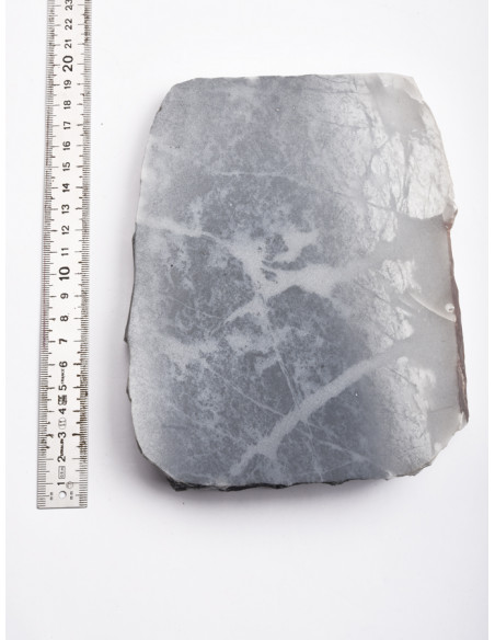 Novaculite grise des Monts Ouachita (Arkansas- USA)