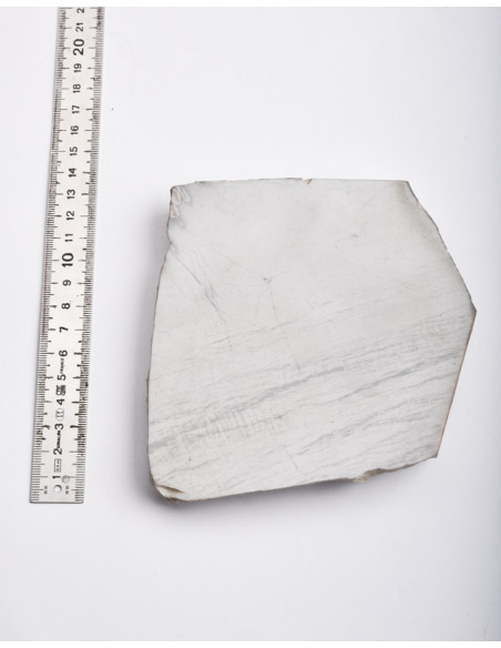 Novaculite grise des Monts Ouachita (Arkansas- USA)