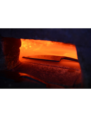 Deba Tanaka 210 mm damas (émouture unilatérale...