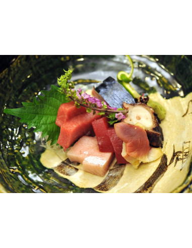 Yoshikane - Yanagiba gaucher- 240 mm