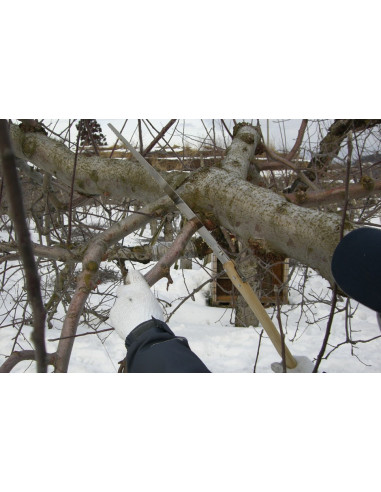 Razorsaw -  Scie japonaise fermante- Megumi...