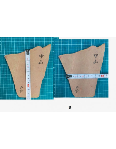 Pierre Nakayama (Japon) Koppa - Tomae