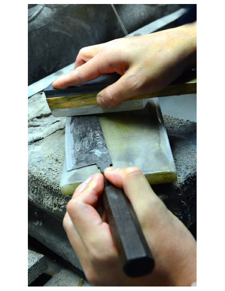 Shosui Takeda - Deba medium NAS